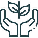 Αρχικη 5 Αρχικη