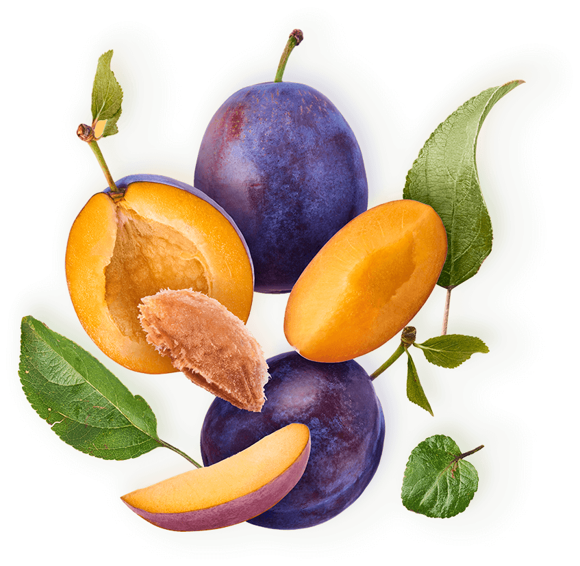 Αρχικη 7 Αρχικη