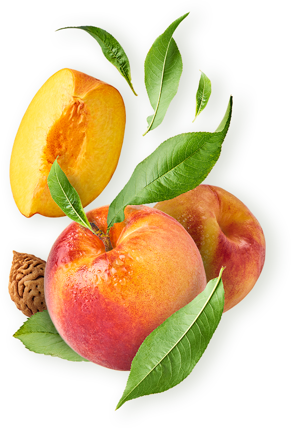 Αρχικη 2 Αρχικη