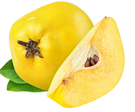 Αρχικη 3 Αρχικη